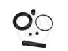 FRENKIT 257029 Repair Kit, brake caliper